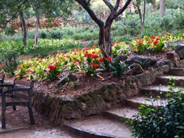 Interspersed among all the green tropical foliage were some beautiful flowers. Park Güell was originally intended to be a suburban housing development but that was unsuccessful and it was eventually turned into its present magical park open to the public.