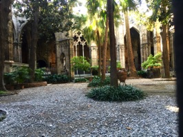 The Cathedral's cloister.  13 geese are always kept in this cloister representing the age of St. Eulalia when she died.