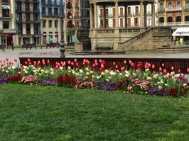 We eventually ended up at the Plaza del Castillo and looked for a place for lunch.