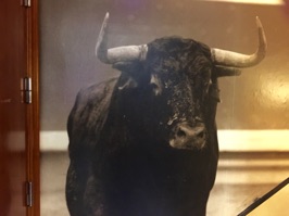 Bulls were everywhere in the restaurant, even in the restrooms.