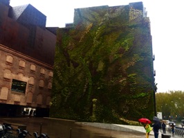 On the way to the first museum, we encountered this very attractive vertical garden designed by French botanist, Patrick Blanc, in the CaixaForum.