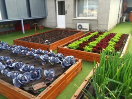 It was still early spring but the hotel boasts an extensive garden of herbs and vegetables on the roof.  The produce is used in the hotel's restaurants.