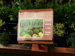 Many planters have photographs showing what the plant will look like at full growth.