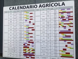 A detailed schedule lays out the growing cycle for each plant. All-in-all, this was quite a garden.