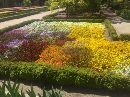 Our final stop for the day was the Real Jardín Botánico, a huge garden next to the Prado Museum. Many flowers were in full bloom.
