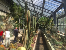 The garden now has a more modern greenhouse, the Greenhouse Santiago Castroviejo Bolibar, named after a former director of the garden.