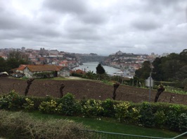The view of Porto from Graham's terrace.