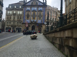 After the tour concluded, we had time to walk around the center of Porto.